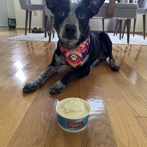 Fundraising Page: Sage Oberholzer